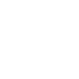 Setu Logo